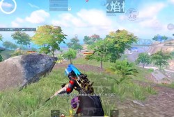 和平精英一打架就卡_外挂打架和平精英