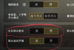 和平精英除了鸡腿还有什么_和平精英鸡腿自瞄怎么设置