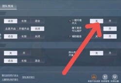 关于和平精英的辅助透视自瞄功能如何使用？一种深入探讨的解答_和平精英辅助透视自瞄怎么开的