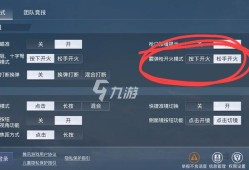 揭秘和平精英抽奖外设挂：真相、风险与应对之策_和平精英抽奖外设挂