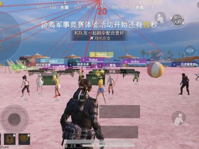 和平精英辅助【老大直装V1.0】人物透视 雷达预警 全车美化 枪械美化 人物加速