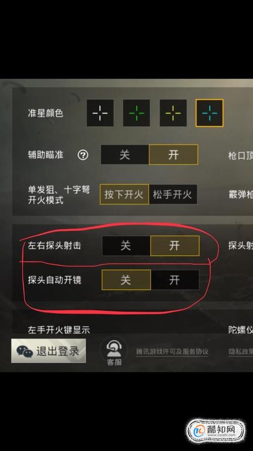和平精英自瞄怎么设置_和平精英有自瞄设置么  第1张