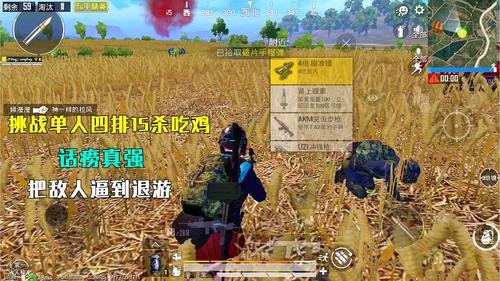 和平精英辅助购买_和平精英辅助呆妹  第1张